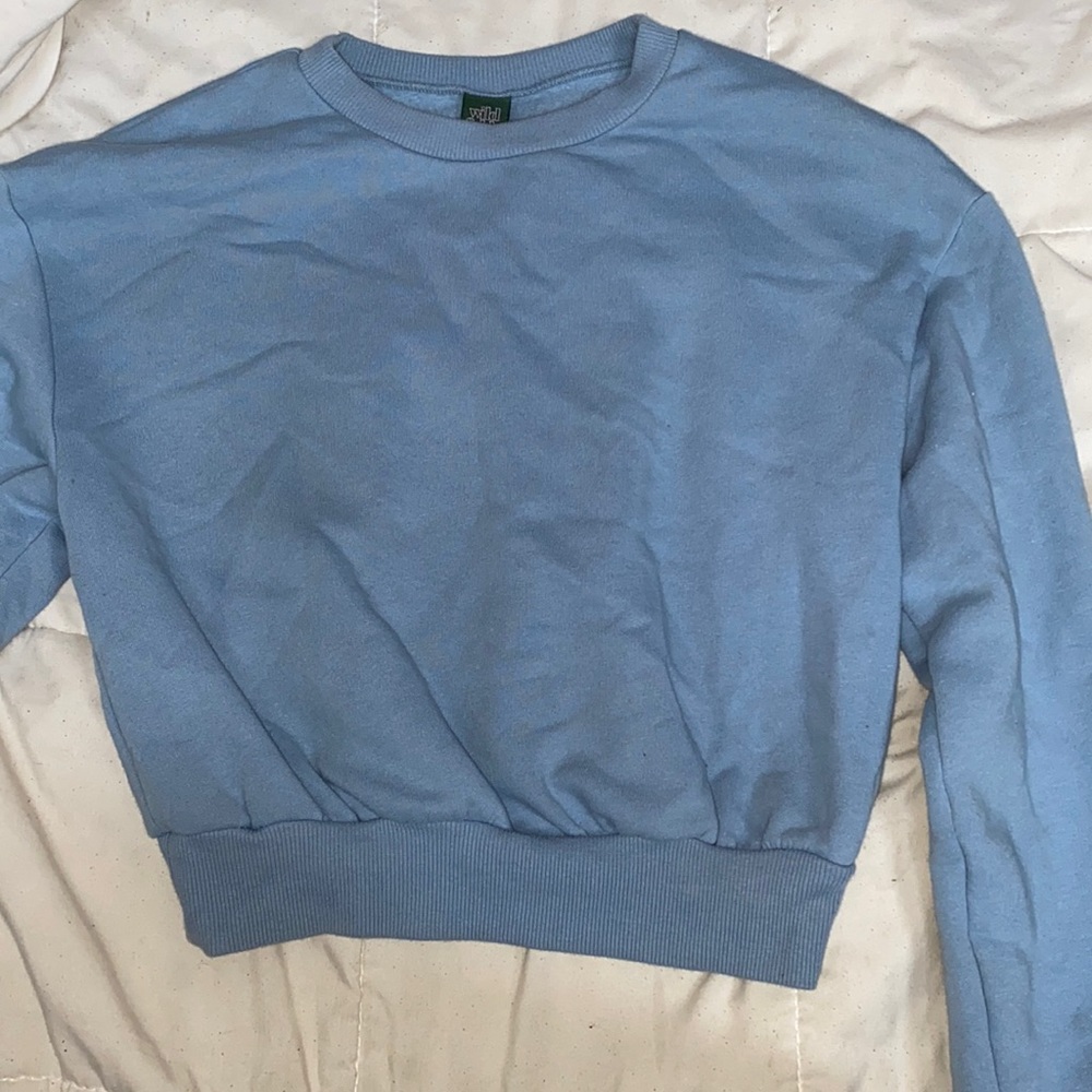 Wild Fable Crop Top Sweater